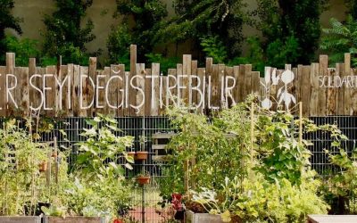 himmelbeet – Gemeinschaftsgarten und Café